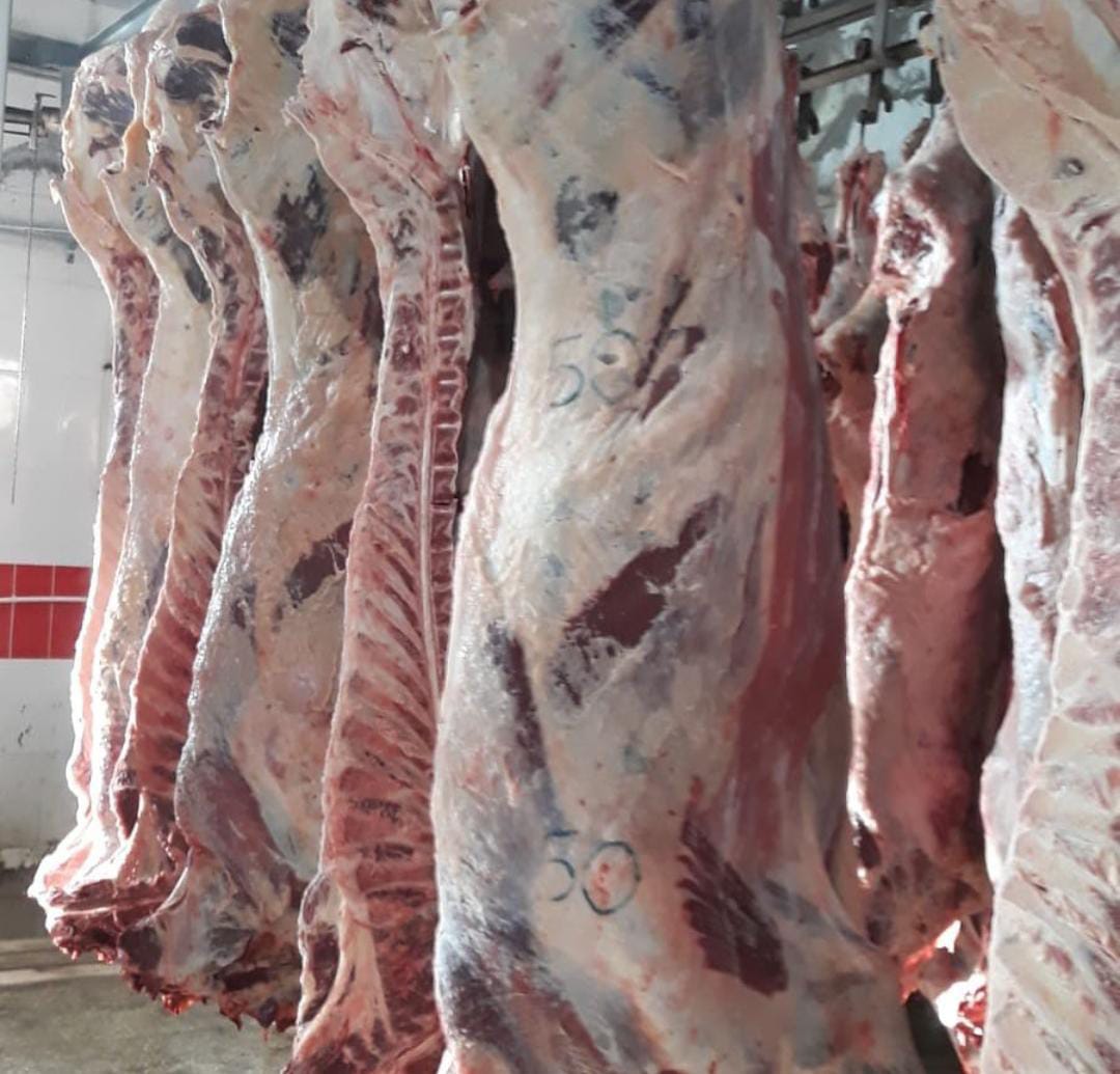 Kasap Pehlivanoğlu 58